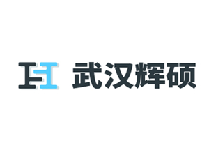 武漢輝碩汽車(chē)零部件