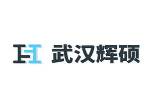 武漢輝碩汽車(chē)零部件